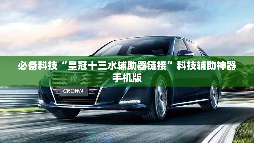 必备科技“皇冠十三水辅助器链接”科技辅助神器手机版
