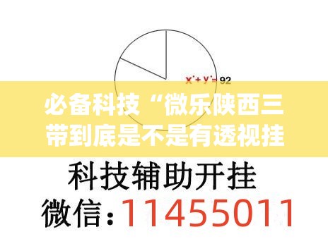 必备科技“微乐陕西三带到底是不是有透视挂”(免费)开挂辅助教学(最新辅助开挂教程)