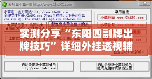 实测分享“东阳四副牌出牌技巧”详细外挂透视辅助软件教程