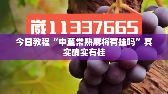 今日教程“中至常熟麻将有挂吗”其实确实有挂