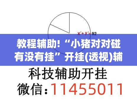 教程辅助!“小猪对对碰有没有挂”开挂(透视)辅助教程