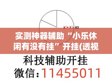 实测神器辅助“小乐休闲有没有挂”开挂(透视)辅助教程