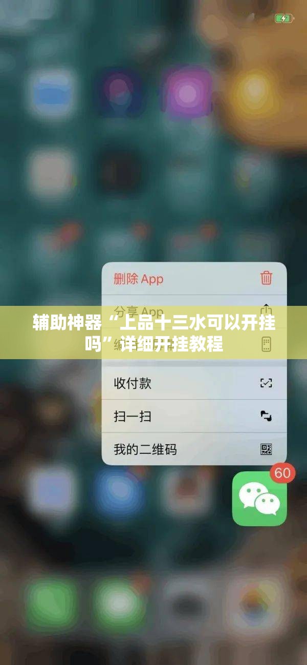 辅助神器“上品十三水可以开挂吗”详细开挂教程