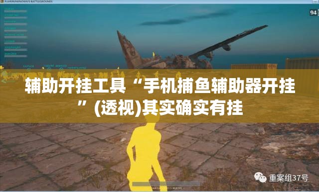 辅助开挂工具“手机捕鱼辅助器开挂”(透视)其实确实有挂