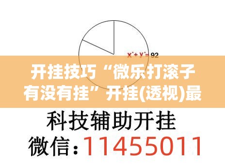 开挂技巧“微乐打滚子有没有挂”开挂(透视)最新辅助详细