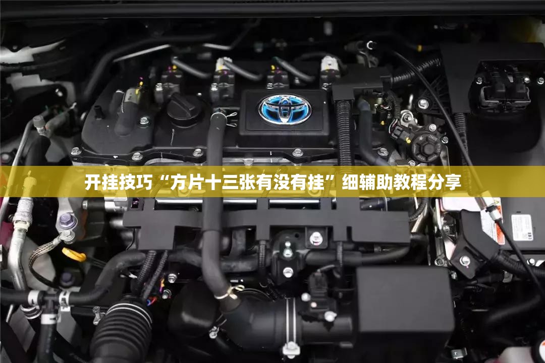 开挂技巧“方片十三张有没有挂”细辅助教程分享