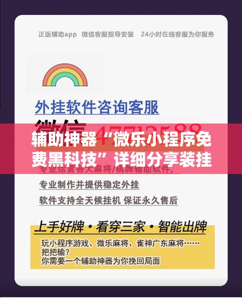 辅助神器“微乐小程序免费黑科技”详细分享装挂步骤
