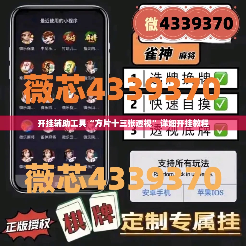 开挂辅助工具“方片十三张透视	”详细开挂教程