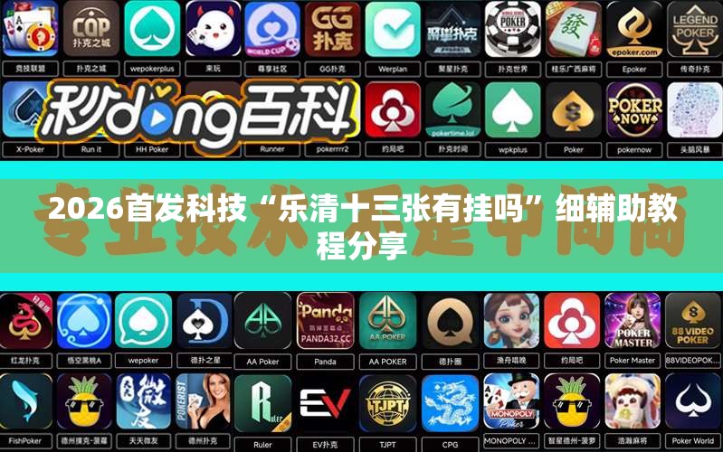 2026首发科技“乐清十三张有挂吗”细辅助教程分享