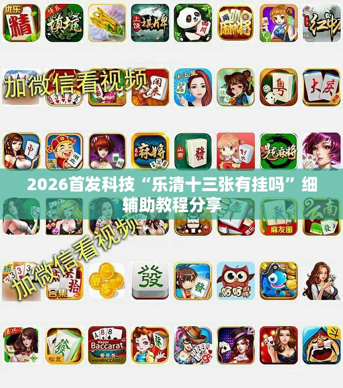 2026首发科技“乐清十三张有挂吗”细辅助教程分享