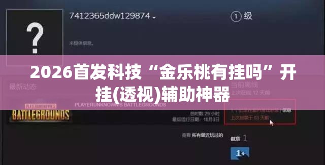 2026首发科技“金乐桃有挂吗”开挂(透视)辅助神器