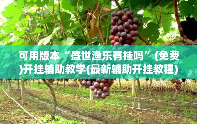 可用版本“盛世渔乐有挂吗	”(免费)开挂辅助教学(最新辅助开挂教程)