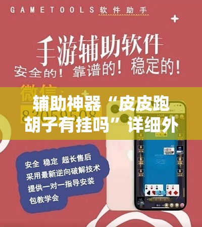 辅助神器“皮皮跑胡子有挂吗”详细外挂透视辅助软件教程