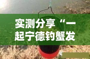 实测分享“一起宁德钓蟹发牌规律”2026开挂教程步骤