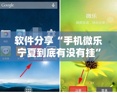 软件分享“手机微乐宁夏到底有没有挂”科技辅助神器手机版