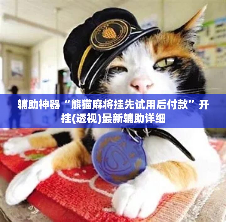 辅助神器“熊猫麻将挂先试用后付款”开挂(透视)最新辅助详细
