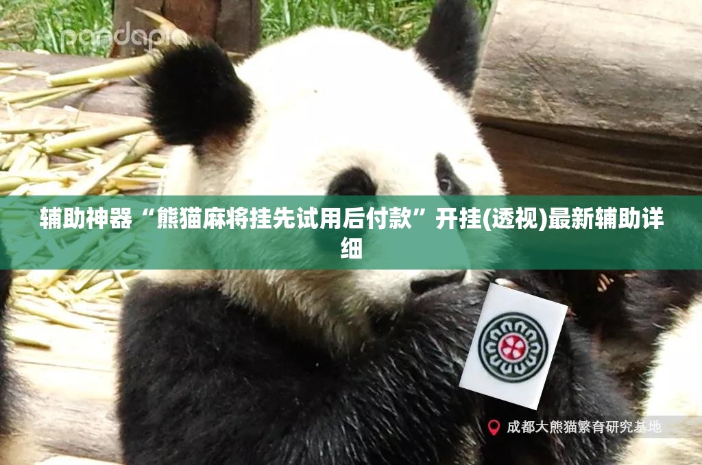 辅助神器“熊猫麻将挂先试用后付款	”开挂(透视)最新辅助详细