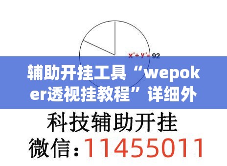 辅助开挂工具“wepoker透视挂教程”详细外挂透视辅助软件教程