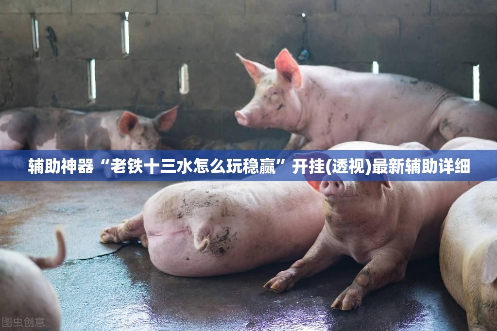 辅助神器“老铁十三水怎么玩稳赢	”开挂(透视)最新辅助详细