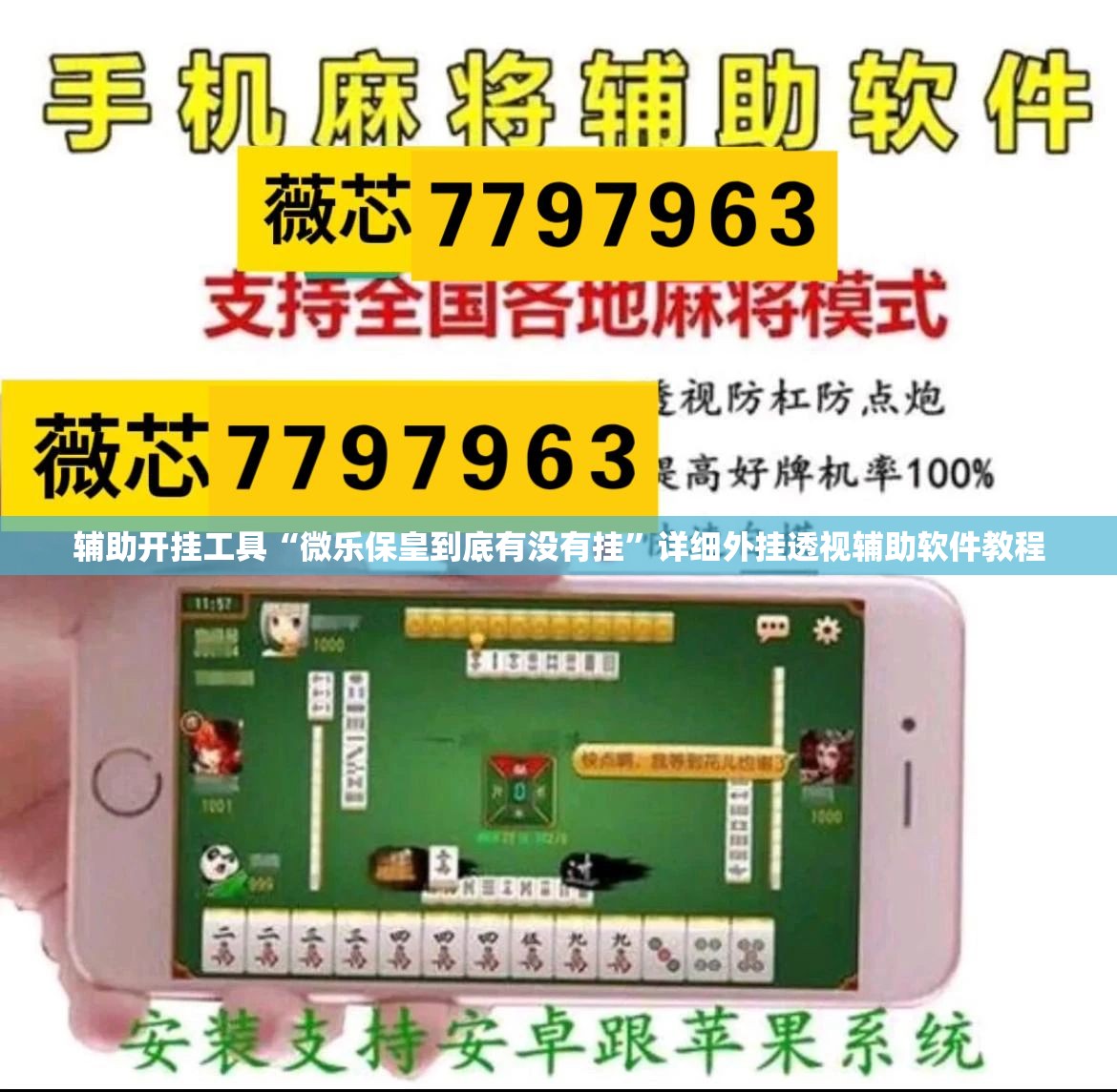 辅助开挂工具“微乐保皇到底有没有挂	”详细外挂透视辅助软件教程