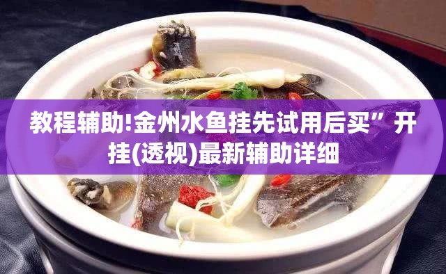 教程辅助!金州水鱼挂先试用后买	”开挂(透视)最新辅助详细