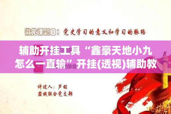 辅助开挂工具“鑫豪天地小九怎么一直输”开挂(透视)辅助教程