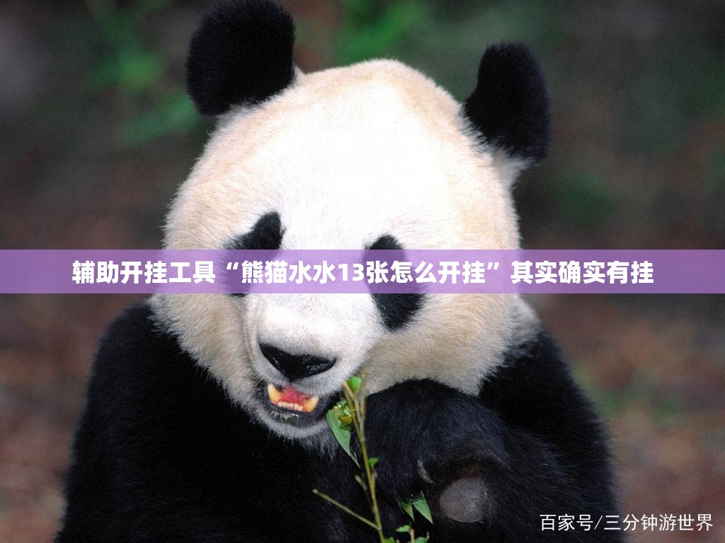 辅助开挂工具“熊猫水水13张怎么开挂	”其实确实有挂