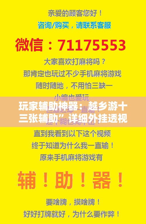 玩家辅助神器：越乡游十三张辅助”详细外挂透视辅助软件教程