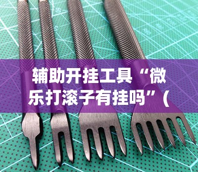 辅助开挂工具“微乐打滚子有挂吗”(透视挂)辅助下载教程