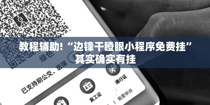 教程辅助!“边锋干瞪眼小程序免费挂”其实确实有挂