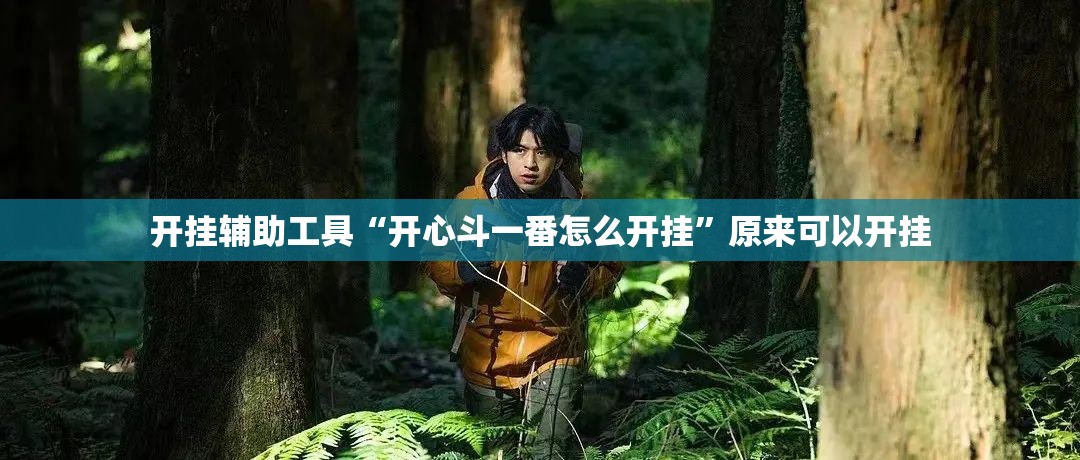 开挂辅助工具“开心斗一番怎么开挂”原来可以开挂