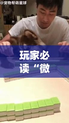 玩家必读“微信小程序雀神广东麻将万能开挂神器”开挂(透视)辅助神器
