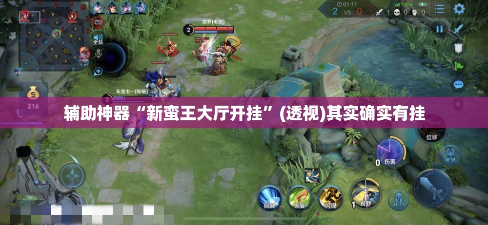 辅助神器“新蛮王大厅开挂”(透视)其实确实有挂