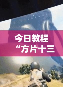 今日教程“方片十三张透视”详细外挂透视辅助软件教程
