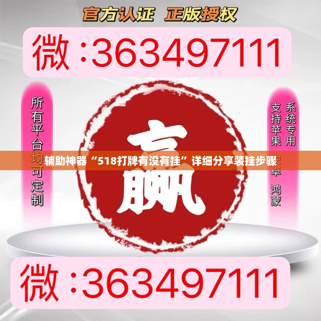 辅助神器“518打牌有没有挂”详细分享装挂步骤