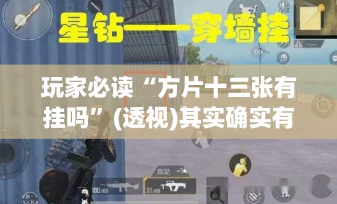玩家必读“方片十三张有挂吗”(透视)其实确实有挂