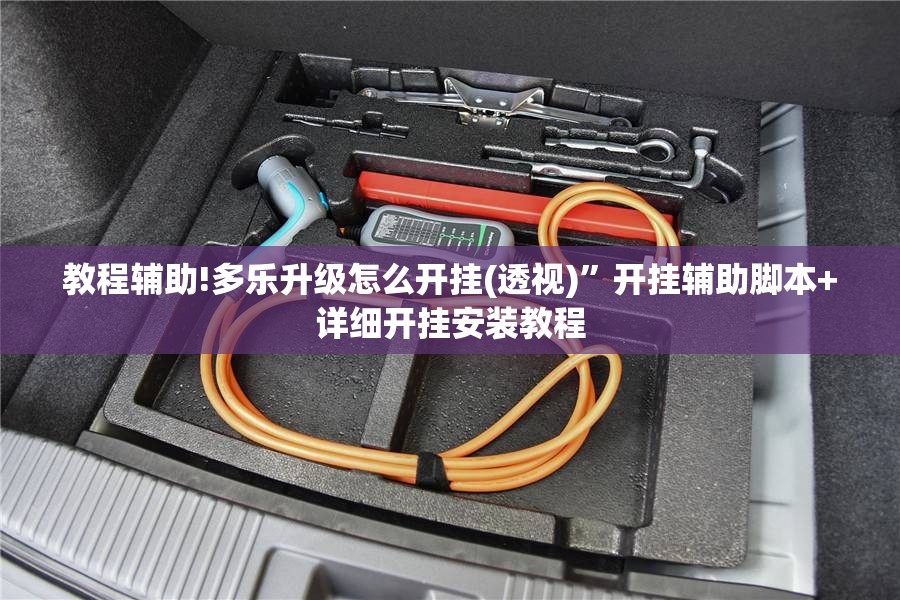 教程辅助!多乐升级怎么开挂(透视)	”开挂辅助脚本+详细开挂安装教程