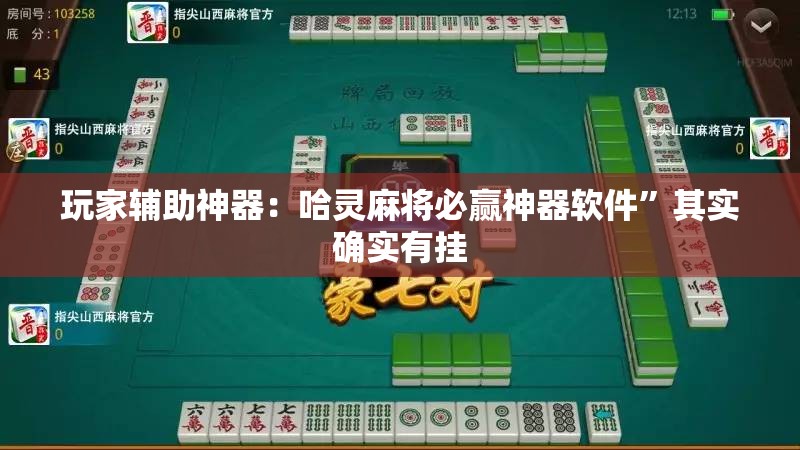 玩家辅助神器：哈灵麻将必赢神器软件”其实确实有挂