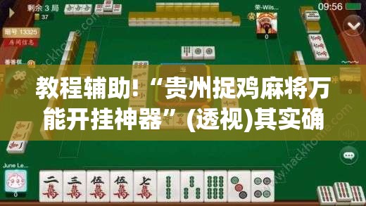 教程辅助!“贵州捉鸡麻将万能开挂神器	”(透视)其实确实有挂
