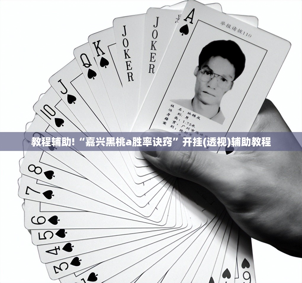 教程辅助!“嘉兴黑桃a胜率诀窍”开挂(透视)辅助教程