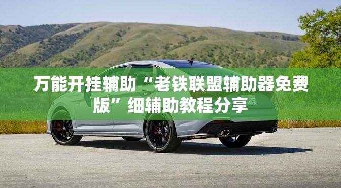 万能开挂辅助“老铁联盟辅助器免费版”细辅助教程分享