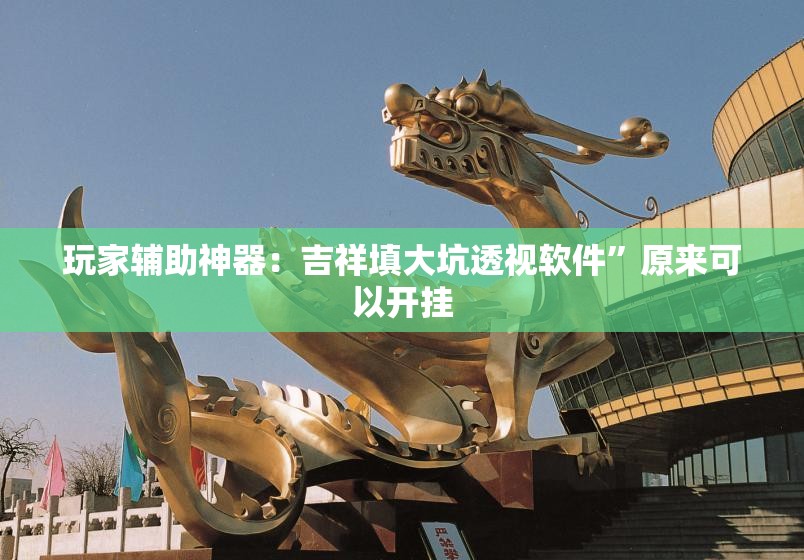 玩家辅助神器：吉祥填大坑透视软件”原来可以开挂