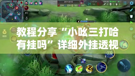 教程分享“小吆三打哈有挂吗”详细外挂透视辅助软件教程