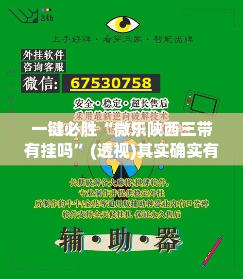 一键必胜“微乐陕西三带有挂吗”(透视)其实确实有挂