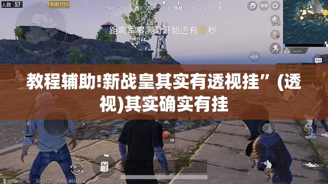 教程辅助!新战皇其实有透视挂”(透视)其实确实有挂