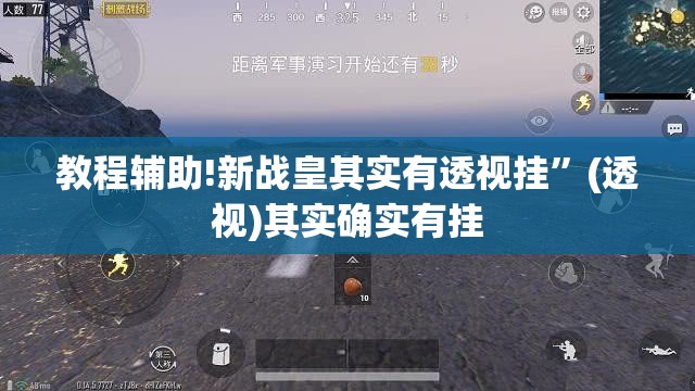 教程辅助!新战皇其实有透视挂”(透视)其实确实有挂