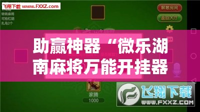 助赢神器“微乐湖南麻将万能开挂器”开挂辅助脚本+详细开挂安装教程