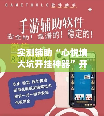 实测辅助“心悦填大坑开挂神器”开挂(透视)辅助教程