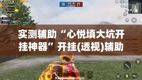 实测辅助“心悦填大坑开挂神器”开挂(透视)辅助教程