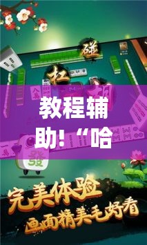 教程辅助!“哈灵杭州麻将外卦神器	”开挂(透视)辅助教程